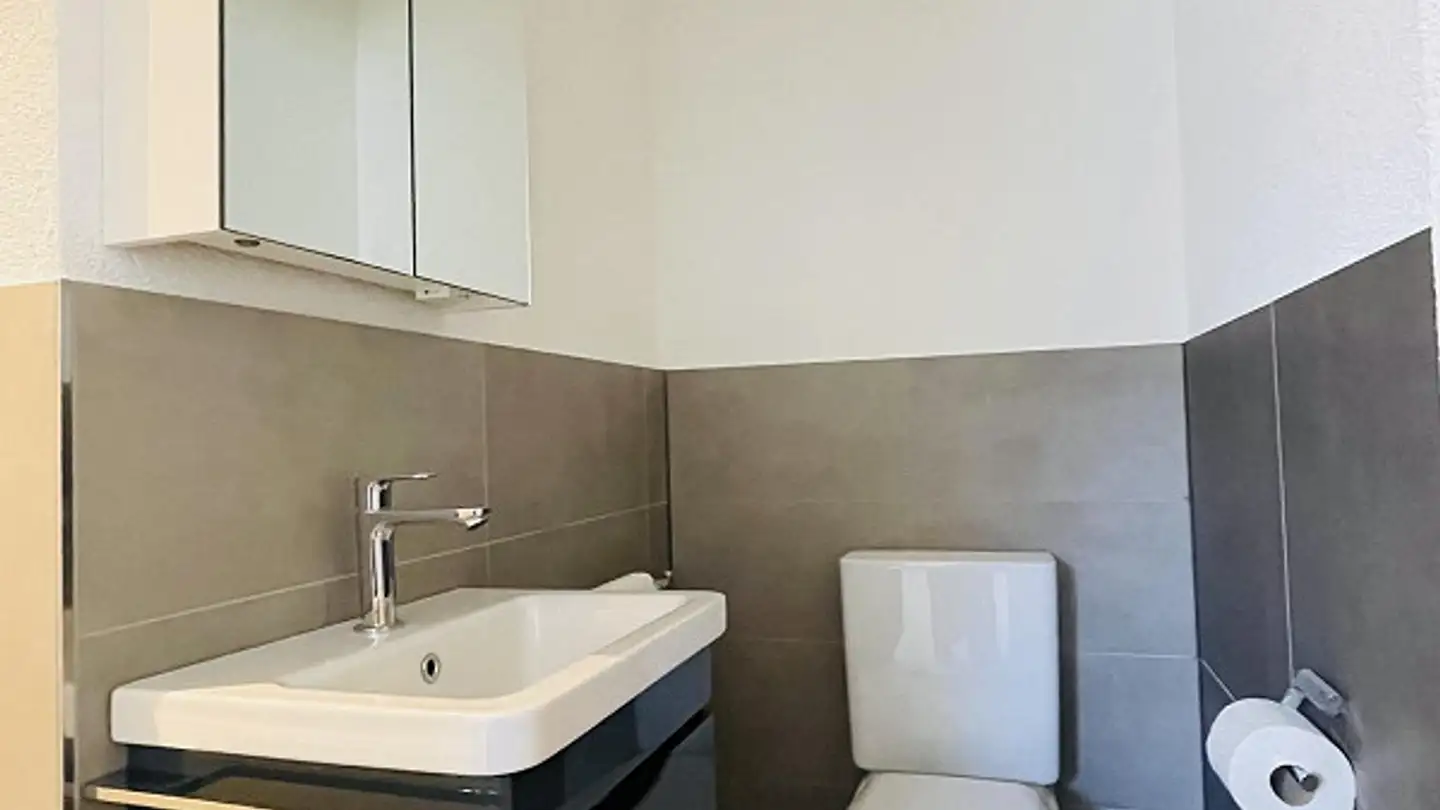 Penthouse for rent - Zürcher Strasse 213, 9014 St. Gallen - Photo 2