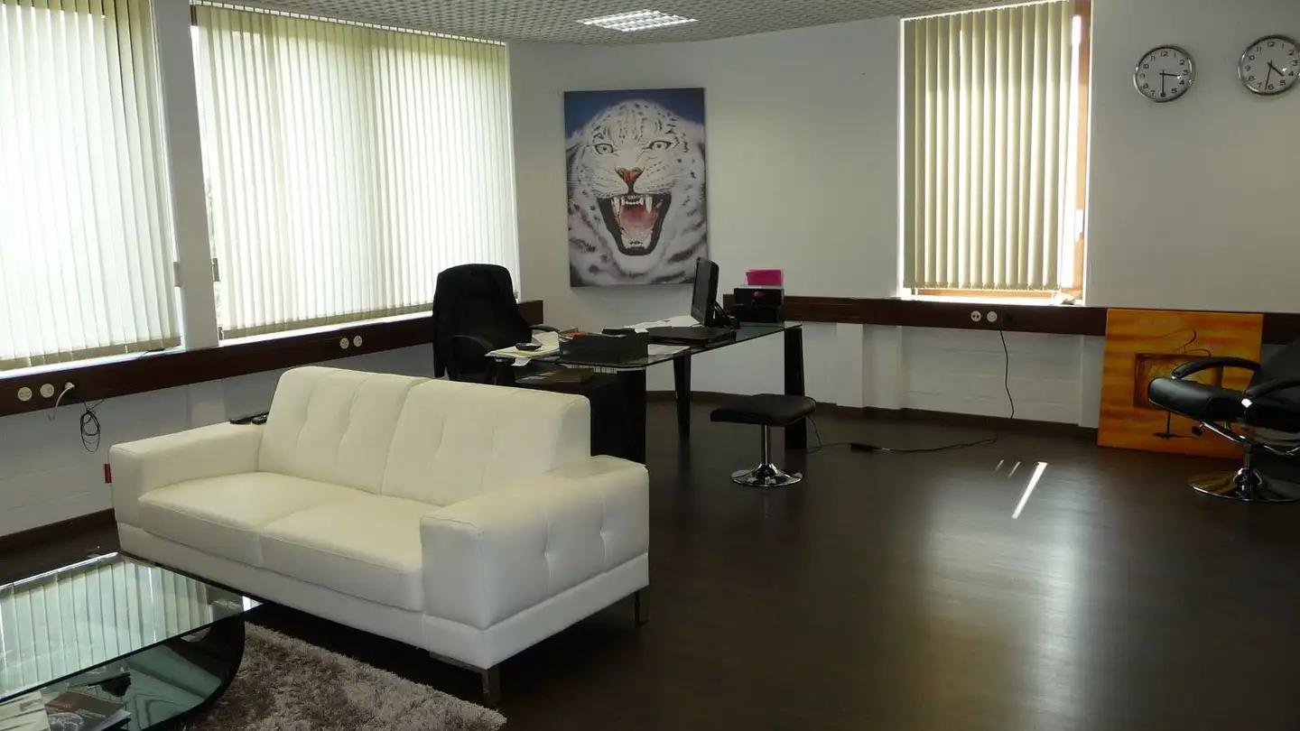 Spazio ufficio in affitto - Bernstrasse 4, 8964 Rudolfstetten - Photo 2