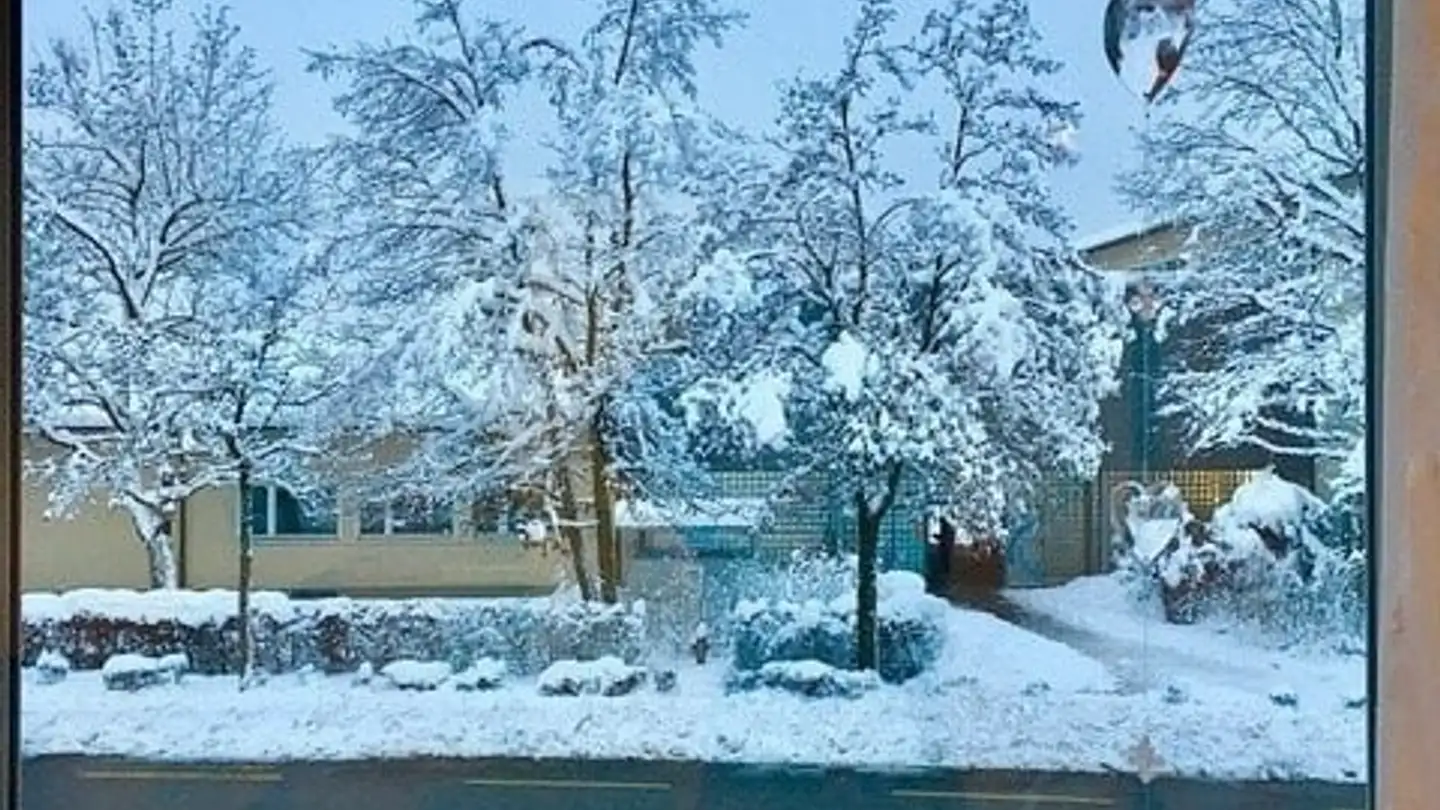 Single room for rent - Zürichstrasse, 8606 Nänikon - Photo 2