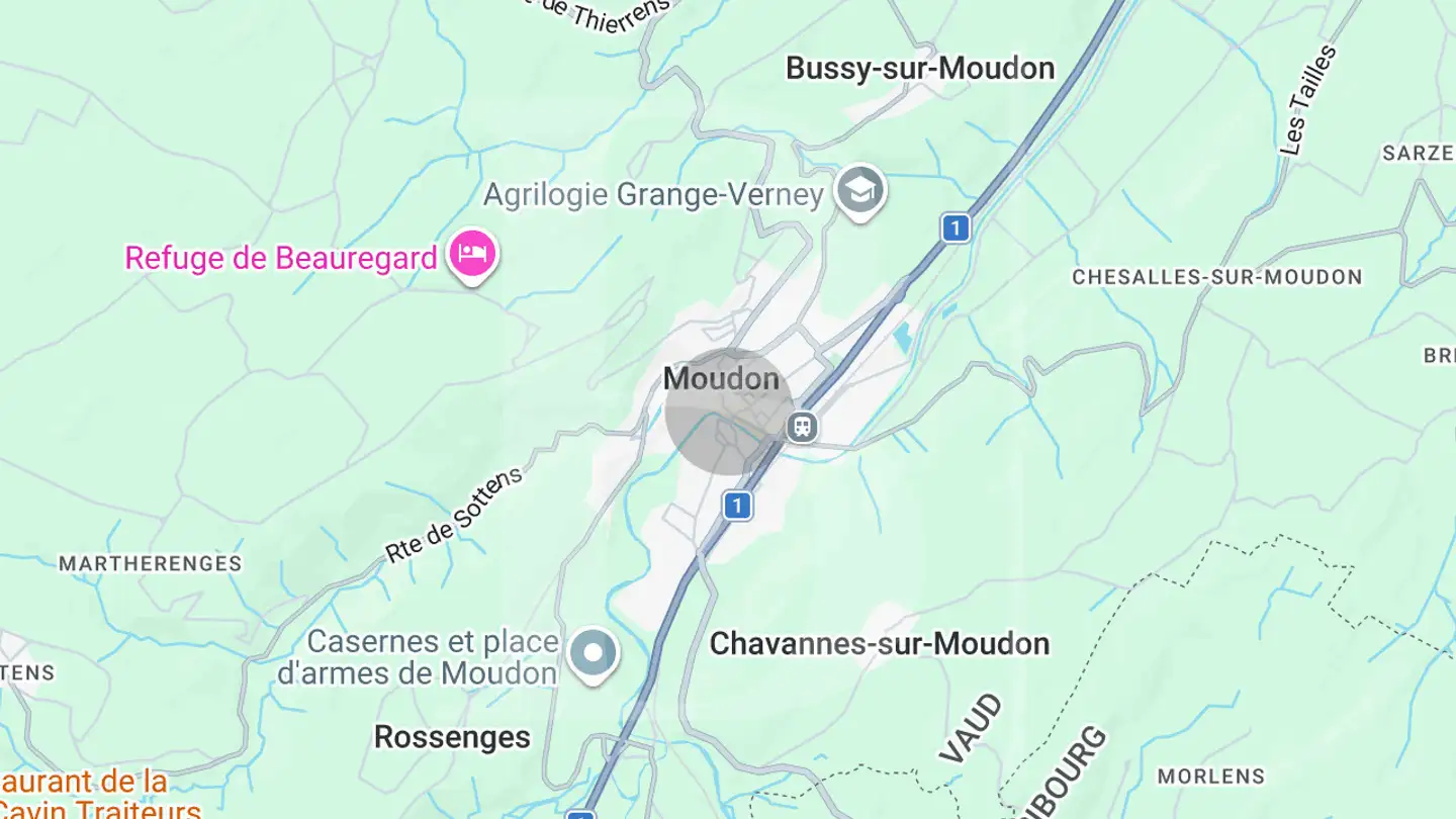 Mixed-use building for sale - 1510 Moudon