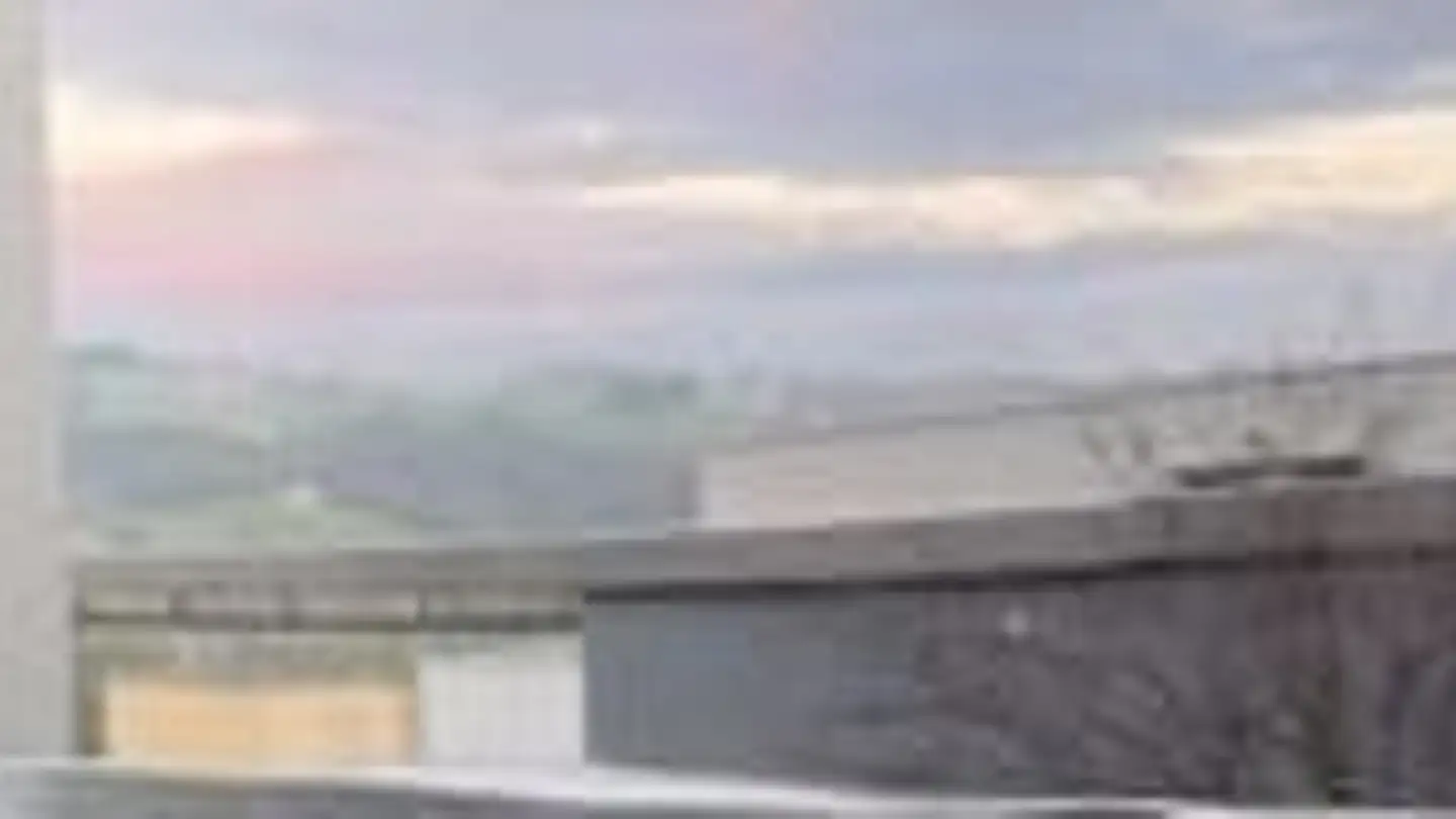 Casa bifamiliare in vendita - Flemingstrasse, 9016 St. Gallen - Foto 3