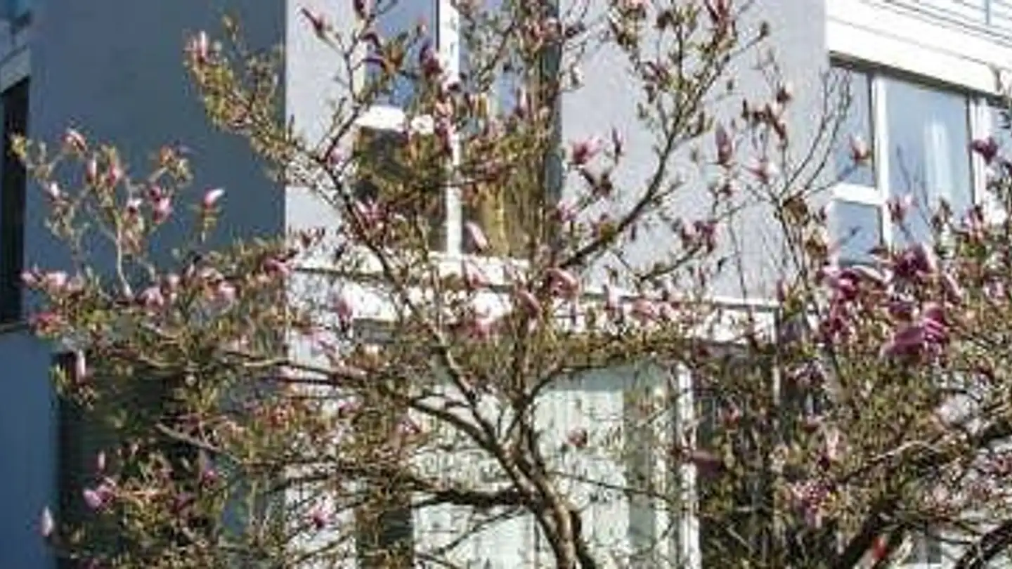 Casa bifamiliare in vendita - Flemingstrasse, 9016 St. Gallen - Foto 4