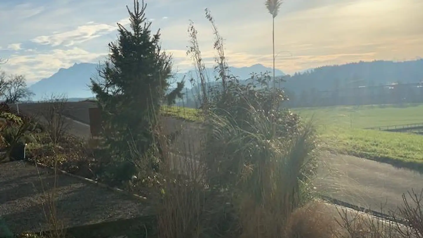 Appartamento in affitto - Mülirain 3, 6280 Hochdorf - Foto 3