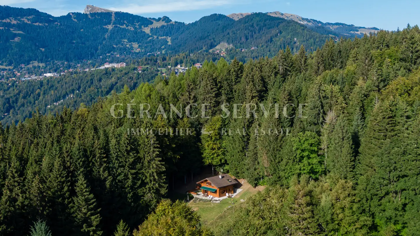 Chalet in vendita - Route De Bex, 1882 Gryon - Photo 4