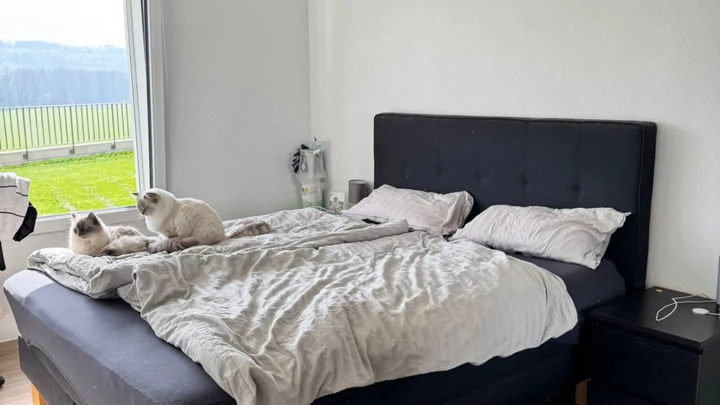 Appartamento in affitto - Route De Brit 91, 1532 Fétigny - Foto 4