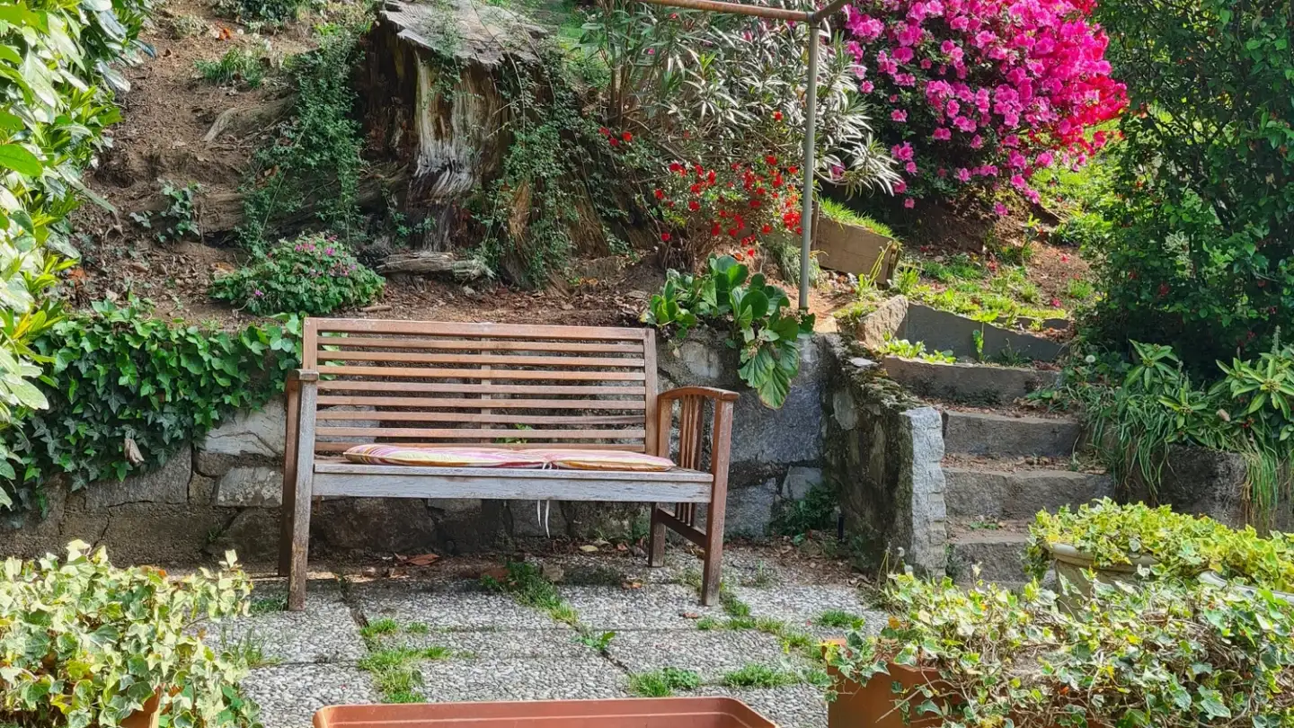Single house for sale - Ur Stradón 42, 6994 Aranno - Photo 3