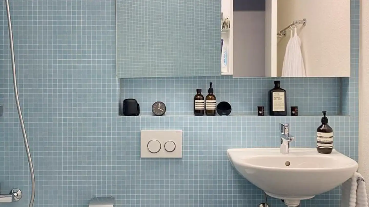 Appartamento in affitto - Wiesenstrasse 14a, 8952 Schlieren - Foto 4