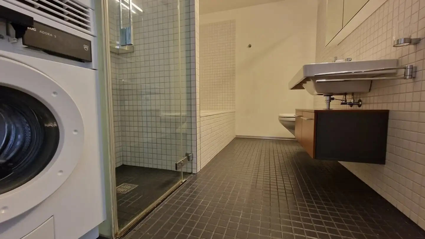 Wohnung mieten - Inseliquai, 6005 Luzern - Foto 4