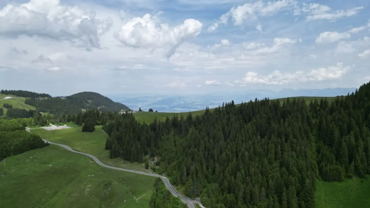 Ristorante in vendita - Untere Gantrischhütte, 1738 Sangernboden - Photo 2