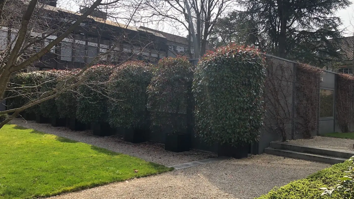 Bürofläche mieten - Wartenbergstrasse 40, 4052 Basel - Foto 2