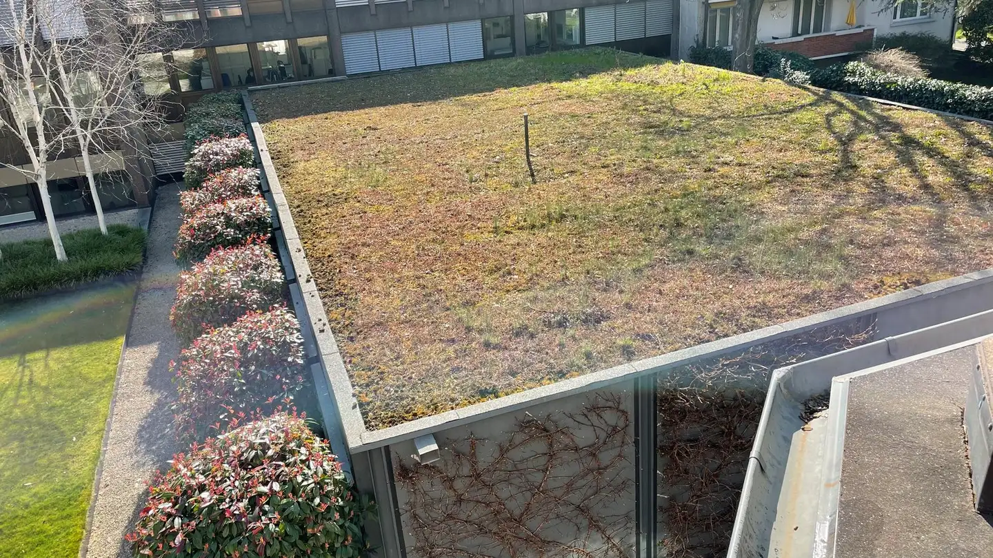 Bürofläche mieten - Wartenbergstrasse 40, 4052 Basel - Foto 4