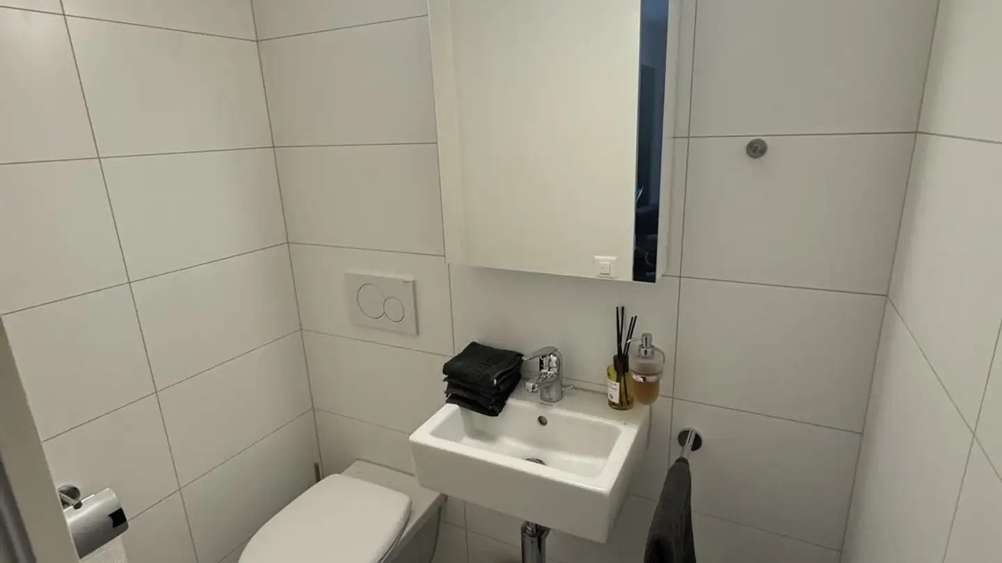 Wohnung mieten - 8706 Meilen - Foto 3