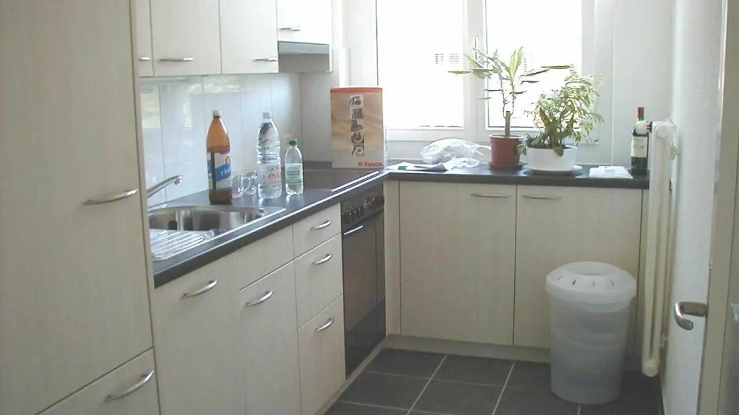 Appartamento in affitto - Rapperswilerstrasse 66a, 8630 Rüti ZH - Foto 2