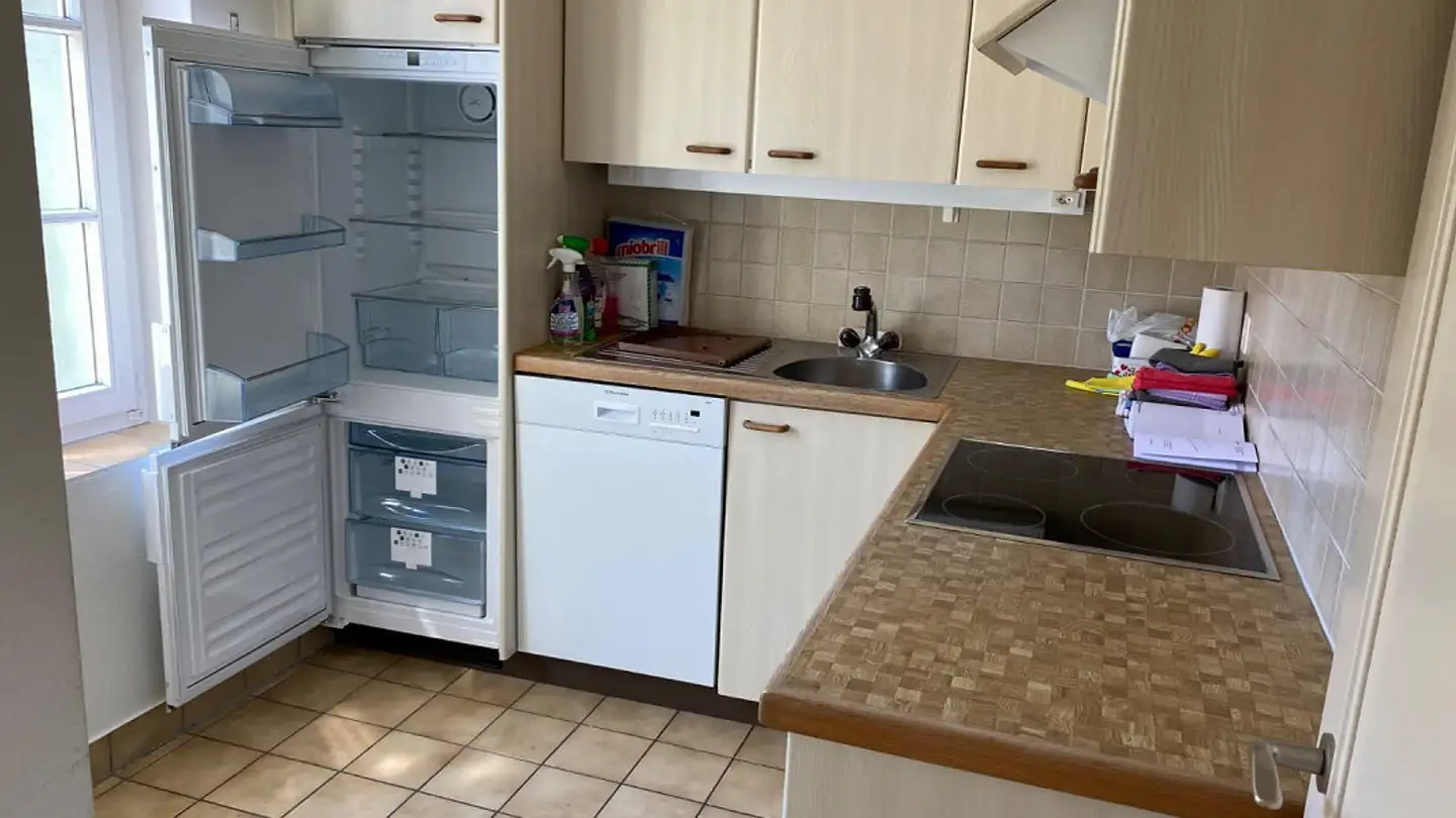 Appartamento in affitto - Leonhardsberg 6, 4051 Basel - Foto 4