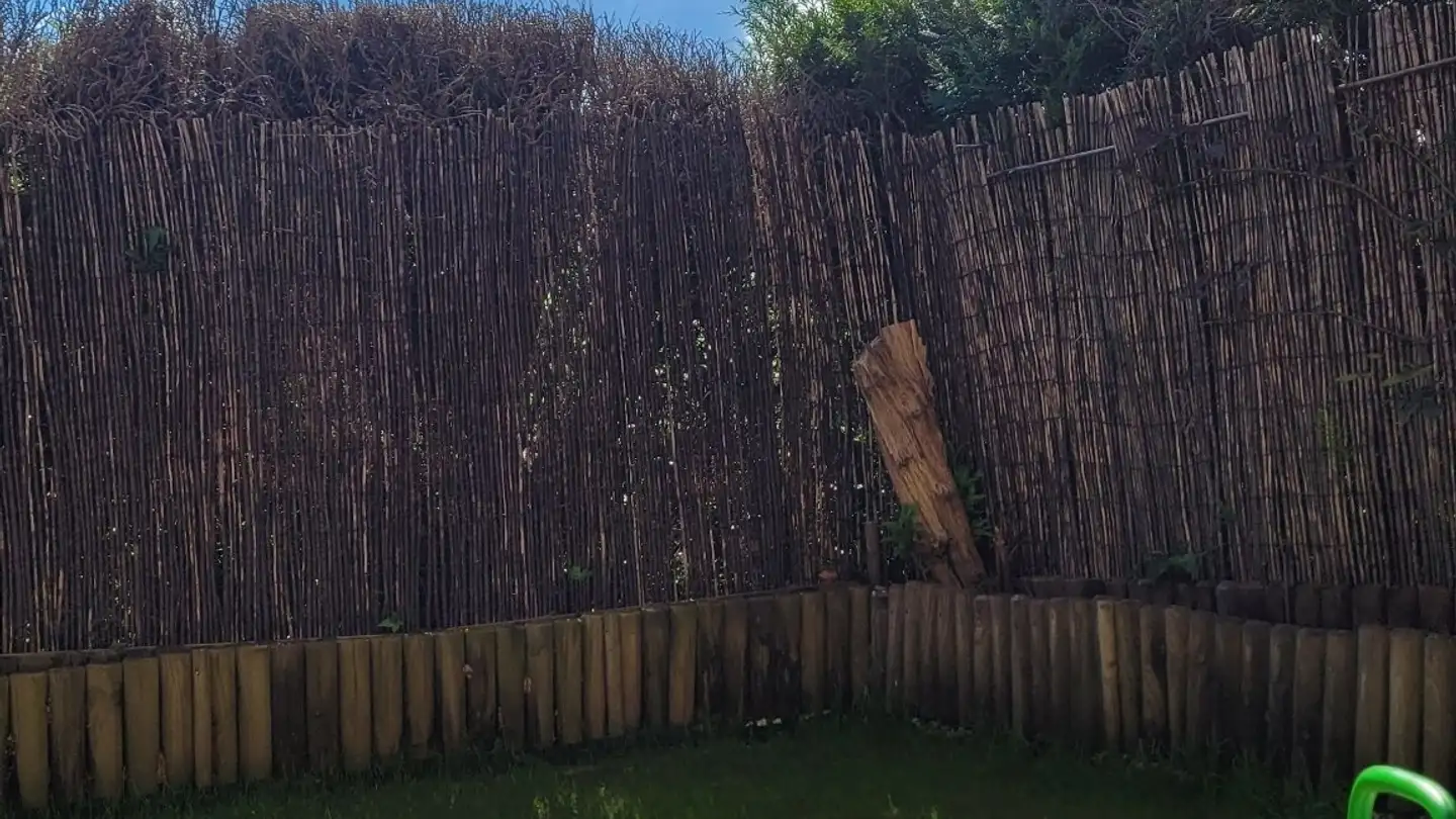 Apartment for rent - 1284 Chancy