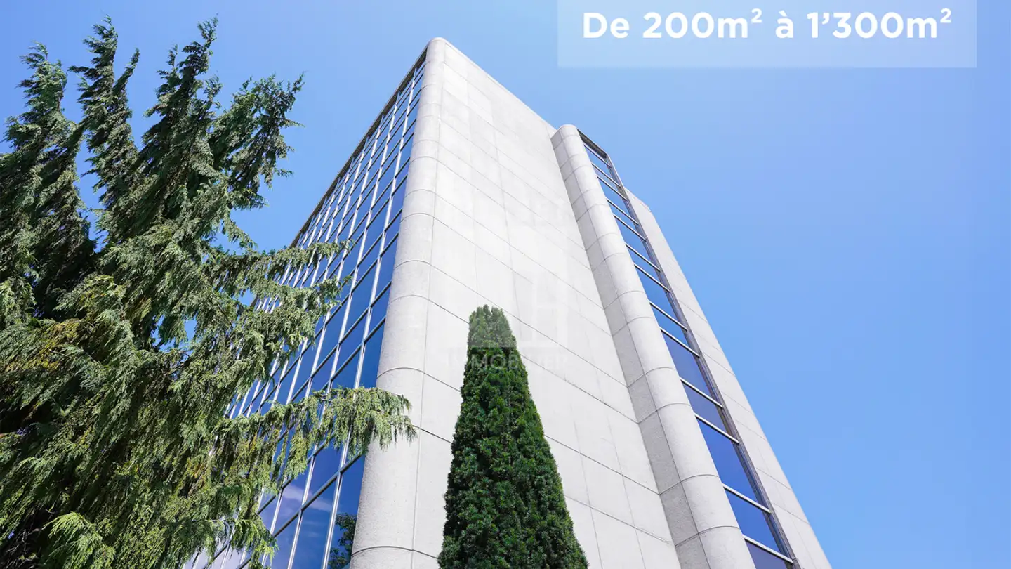 Office space for rent - Chemin des Coquelicots 16, 1214 Vernier