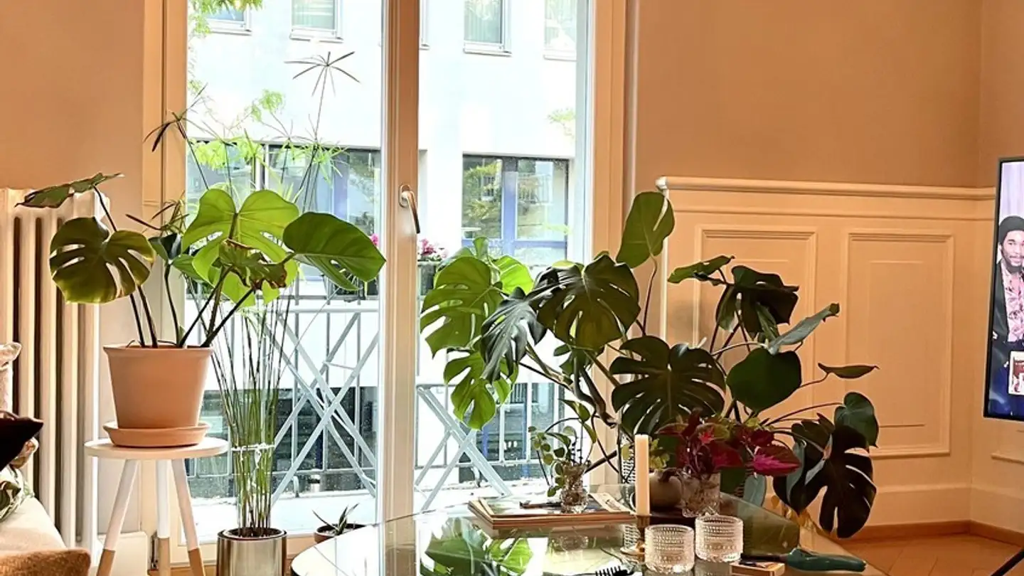 Wohnung mieten - 8003 Zürich