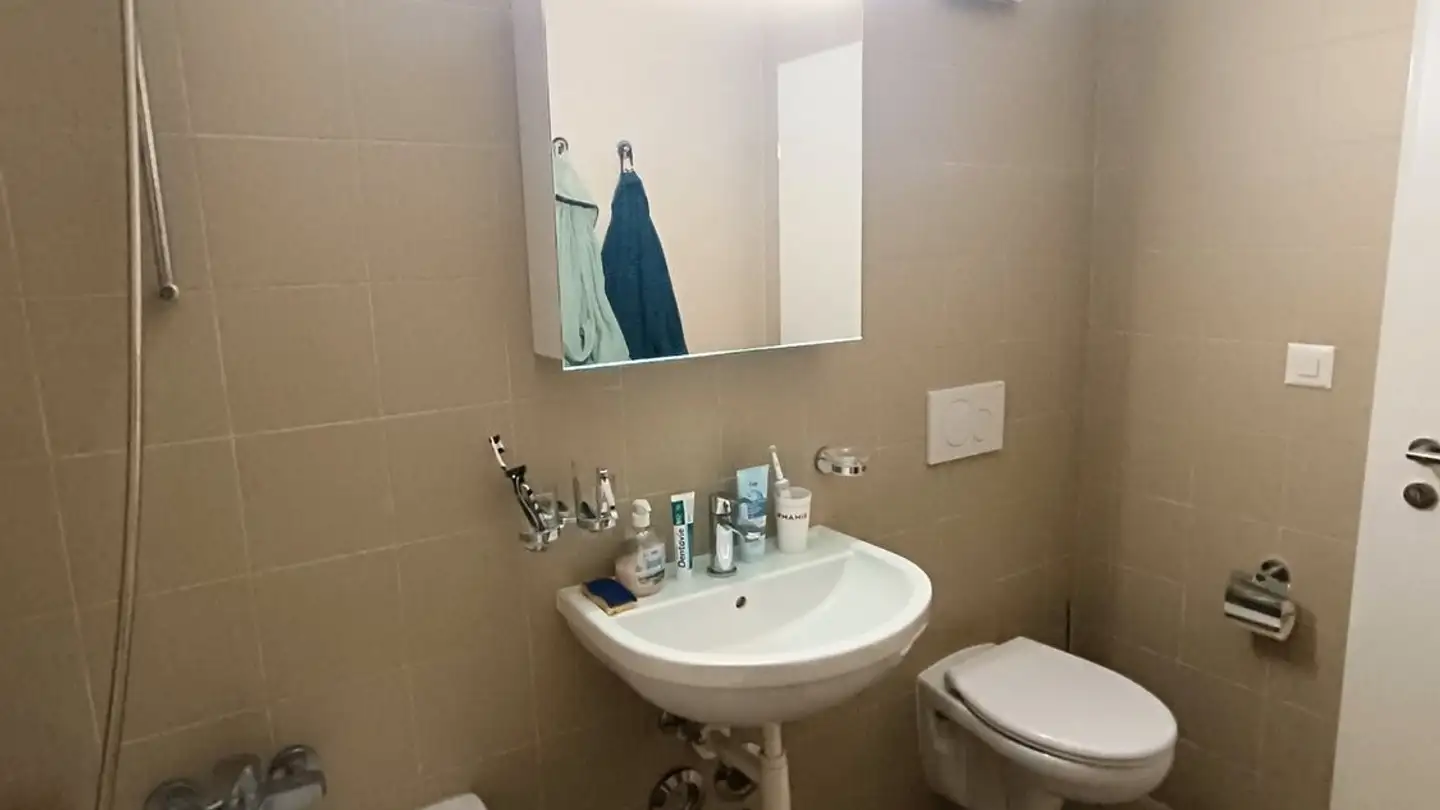 Appartamento in affitto - Route Du Tonkin 9, 1897 Bouveret - Photo 4