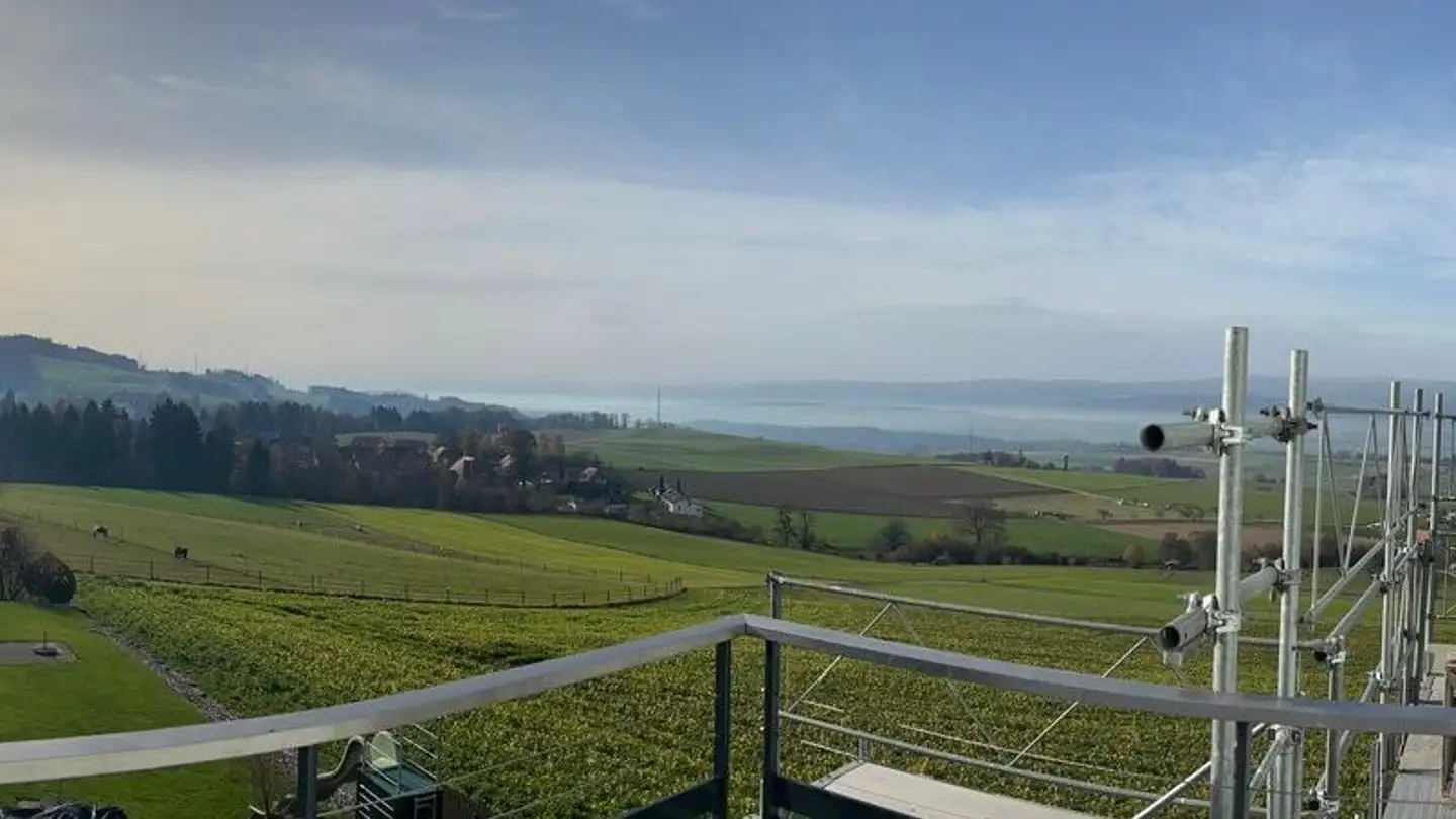 Attic flat for rent - Elemoosstrasse 28, 3267 Seedorf BE