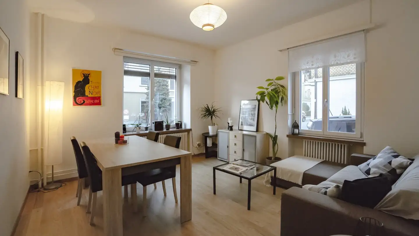 Furnished apartment for rent - Dubsstrasse 47, 8003 Zürich