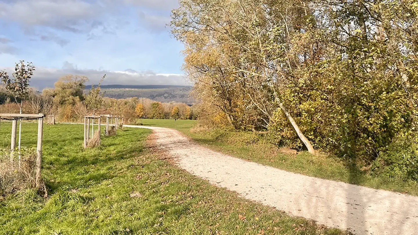 Appartamento in vendita - 1400 Yverdon-les-Bains - Foto 2