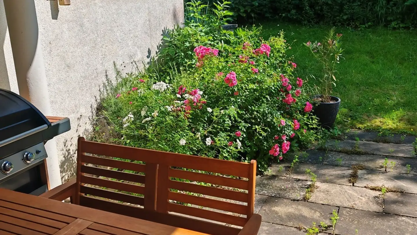 Appartamento ammobiliato in affitto - 8134 Adliswil - Foto 2