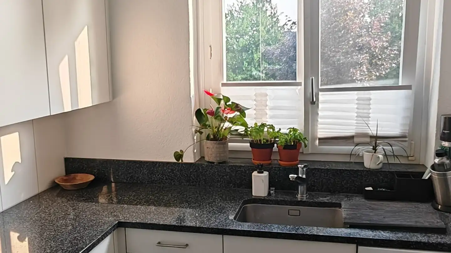 Appartamento ammobiliato in affitto - 8134 Adliswil - Foto 3