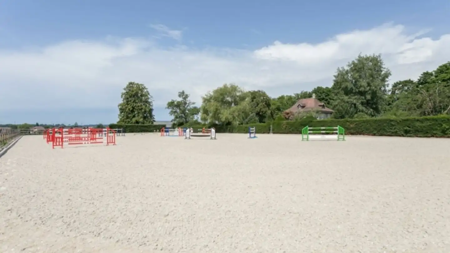 Box per cavalli in vendita - 3360 Herzogenbuchsee - Foto 3