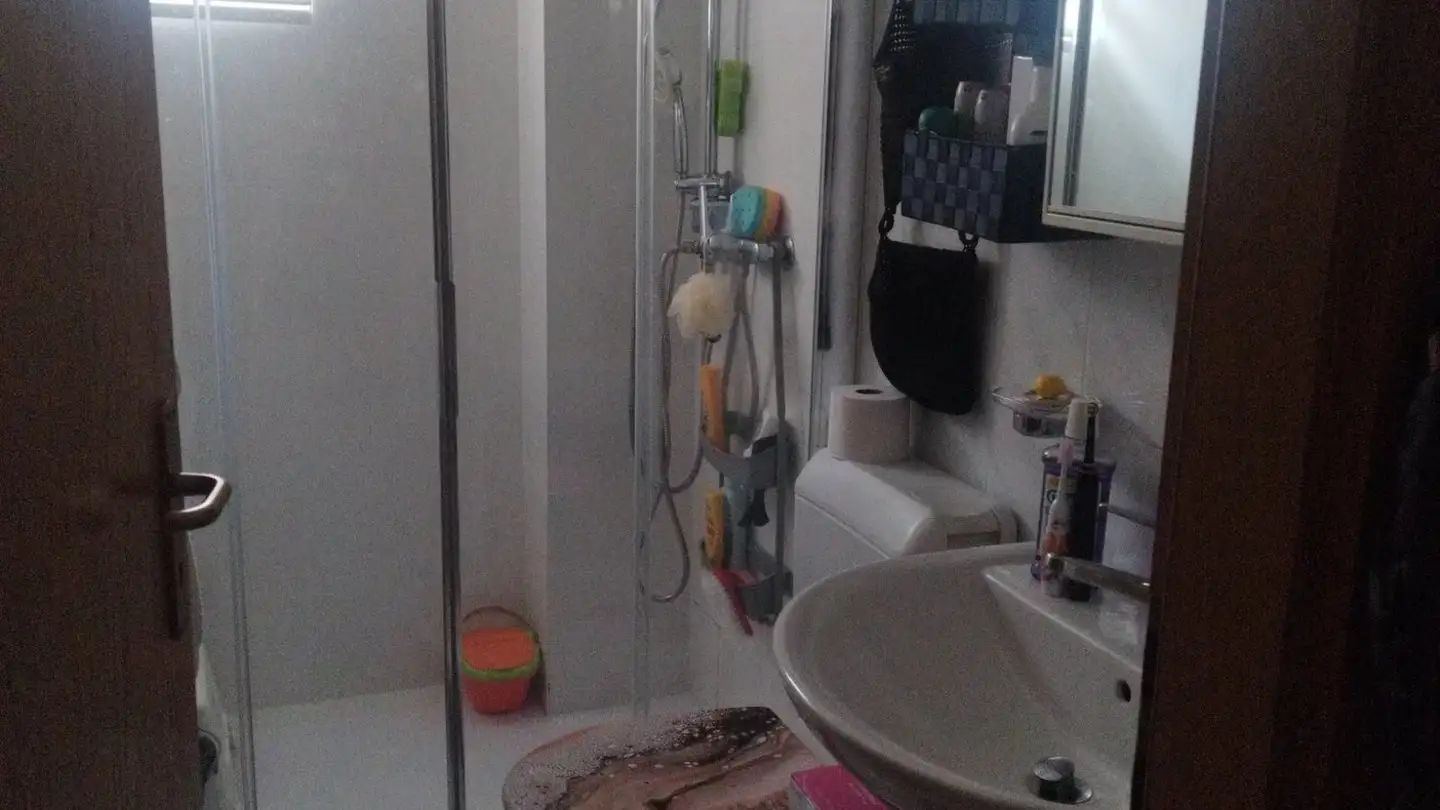 Wohnung mieten - Via Cantonale 35, 6515 Gudo - Foto 2