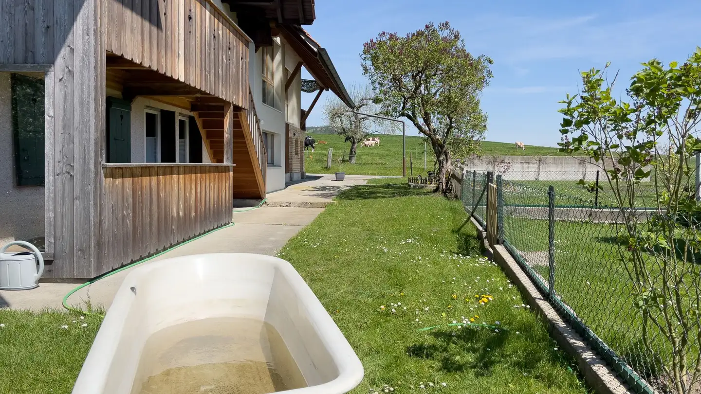 Fattoria in vendita - Käsereiweg 8, 3035 Frieswil - Photo 3