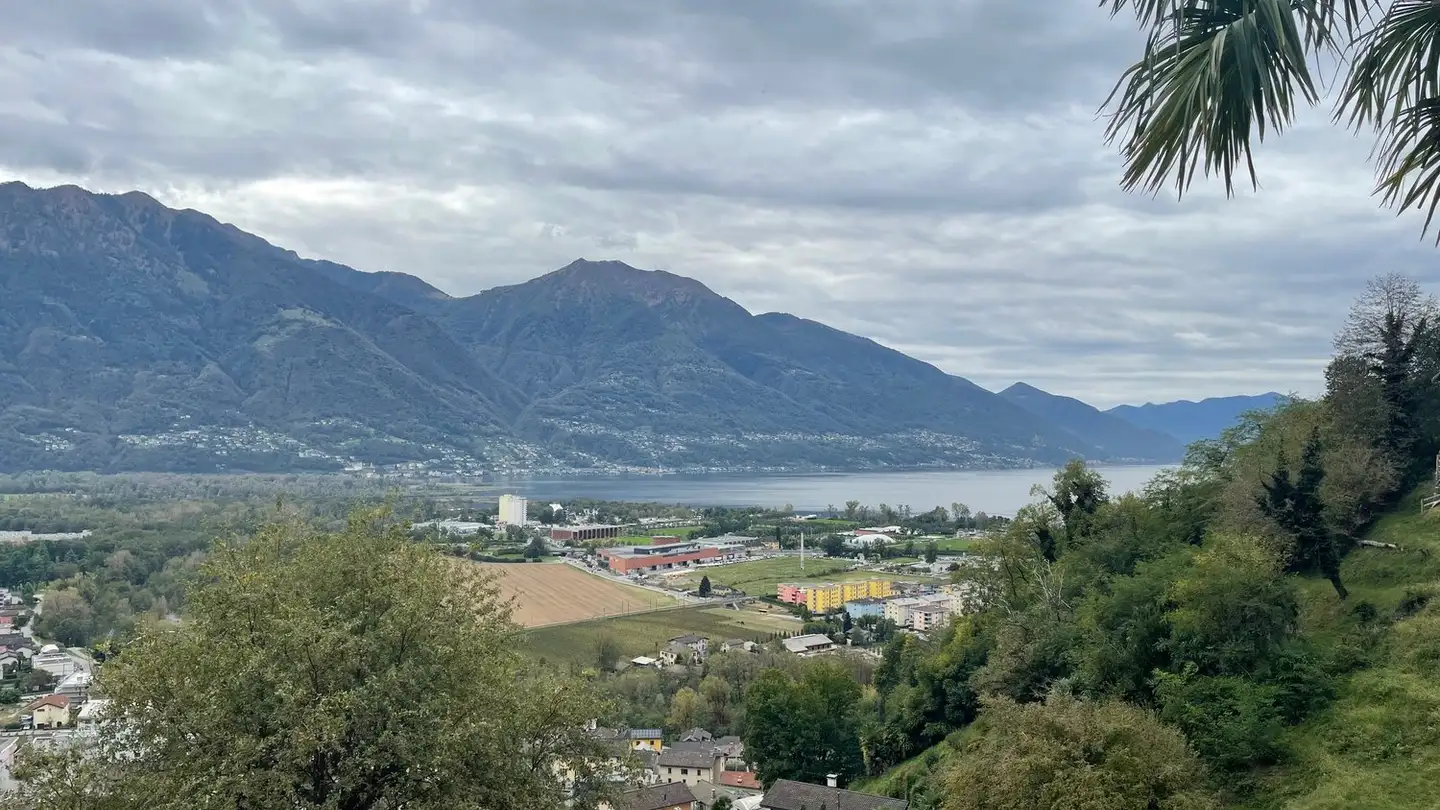 Terrain constructible à vendre - 6596 Gordola