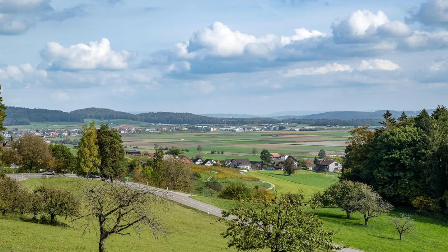 Bauland kaufen - 8196 Wil ZH