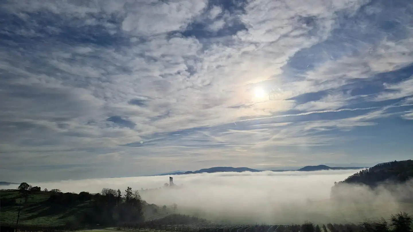 Terreno edificabile in vendita - 8196 Wil ZH - Foto 4