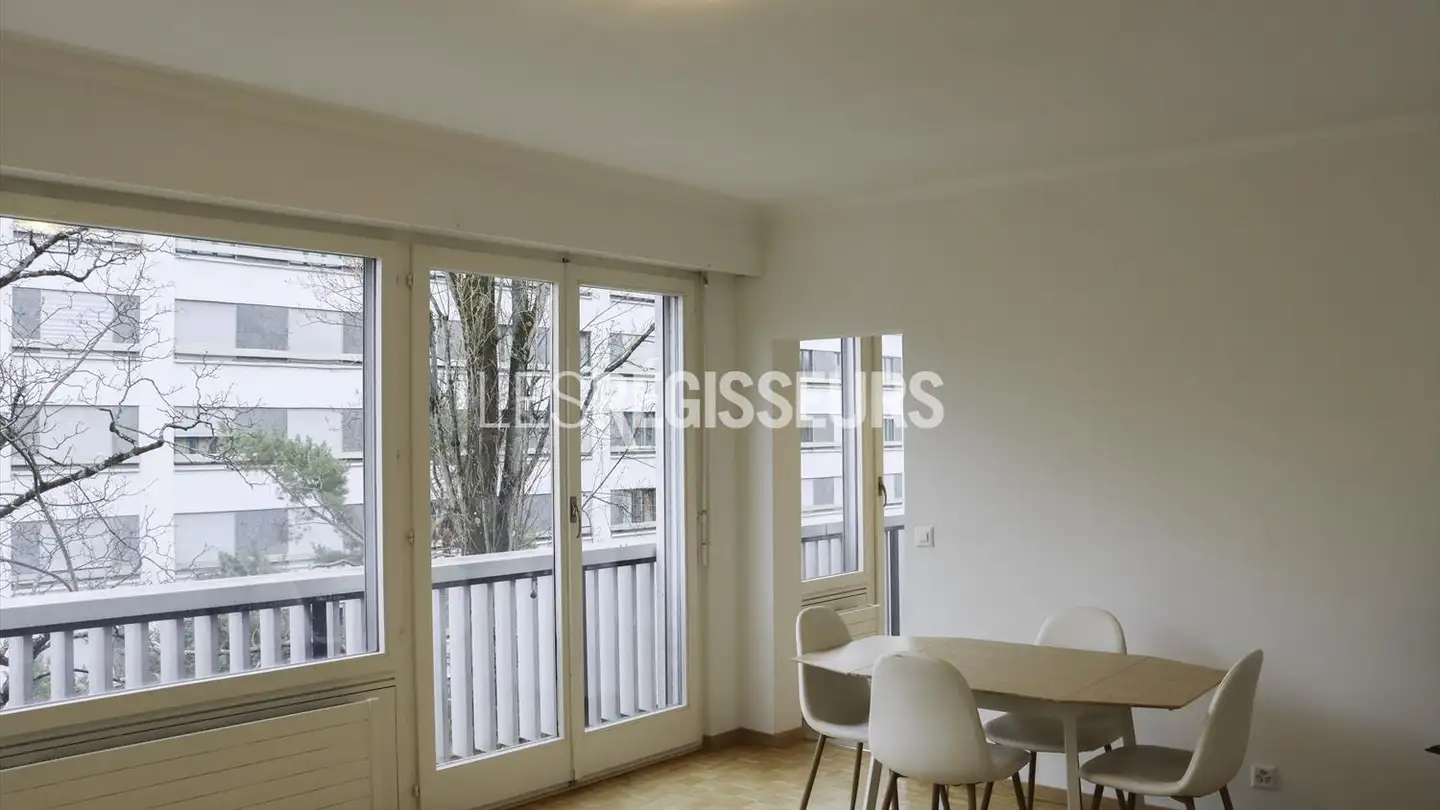 Appartamento in affitto - Chemin Des Crêts-De-Champel 18, 1206 Genève - Foto 4