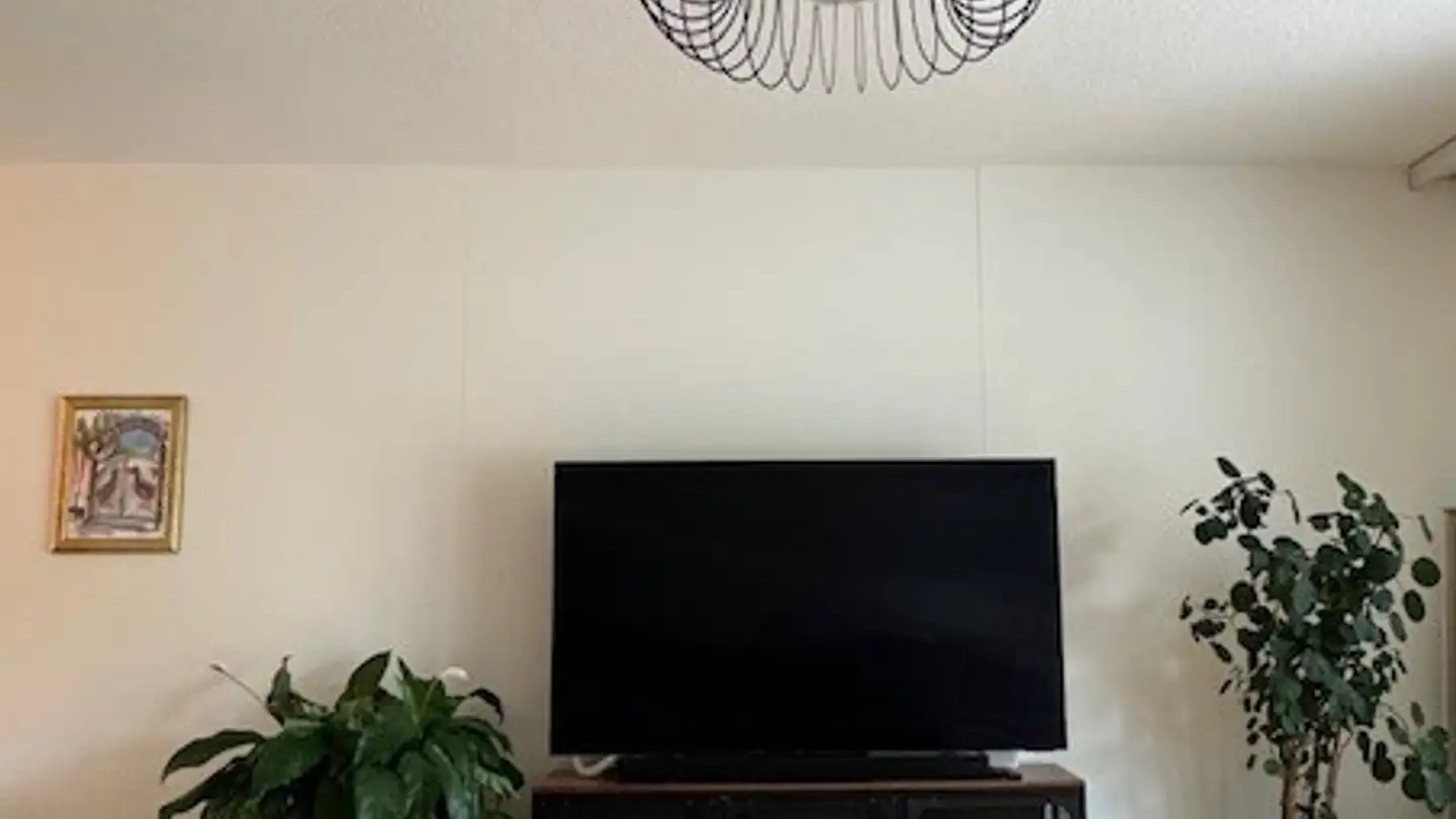 Stanza singola in affitto - Webermühle 18, 5432 Neuenhof - Foto 4