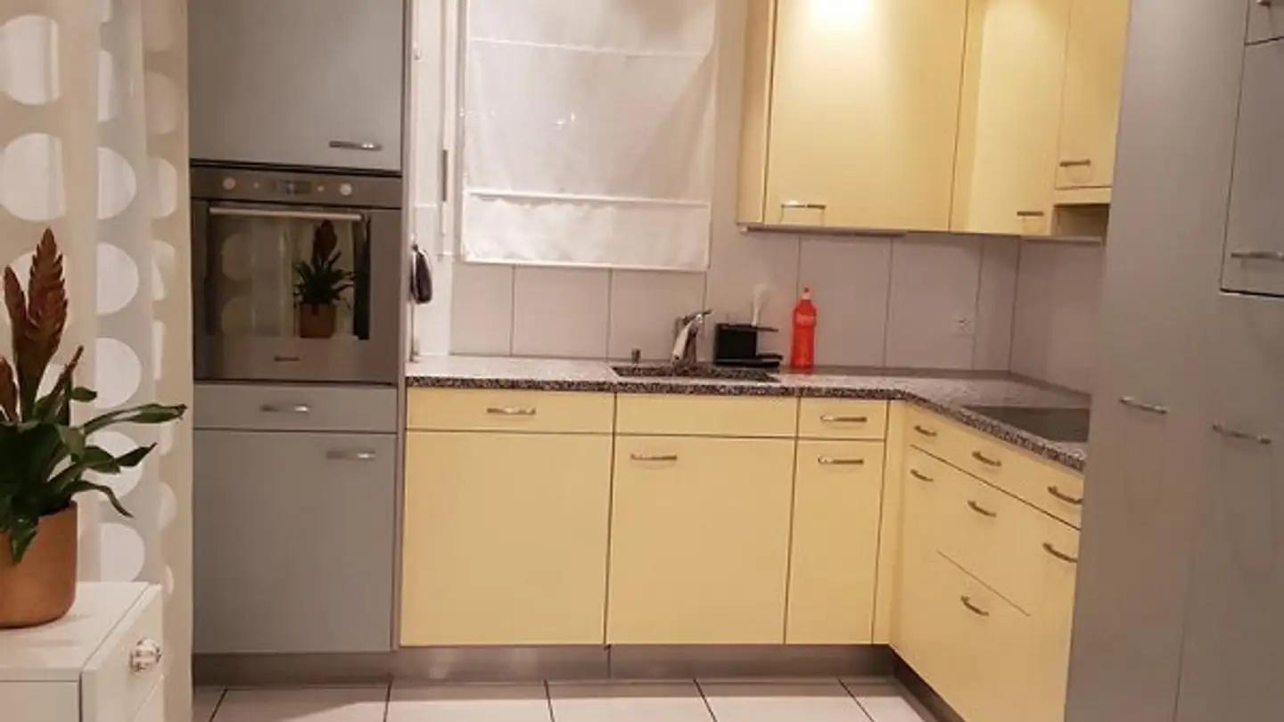 Wohnung mieten - Untere Breiten 1, 8413 Neftenbach