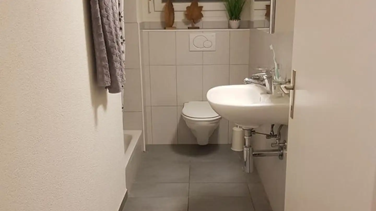 Wohnung mieten - Untere Breiten 1, 8413 Neftenbach - Foto 4