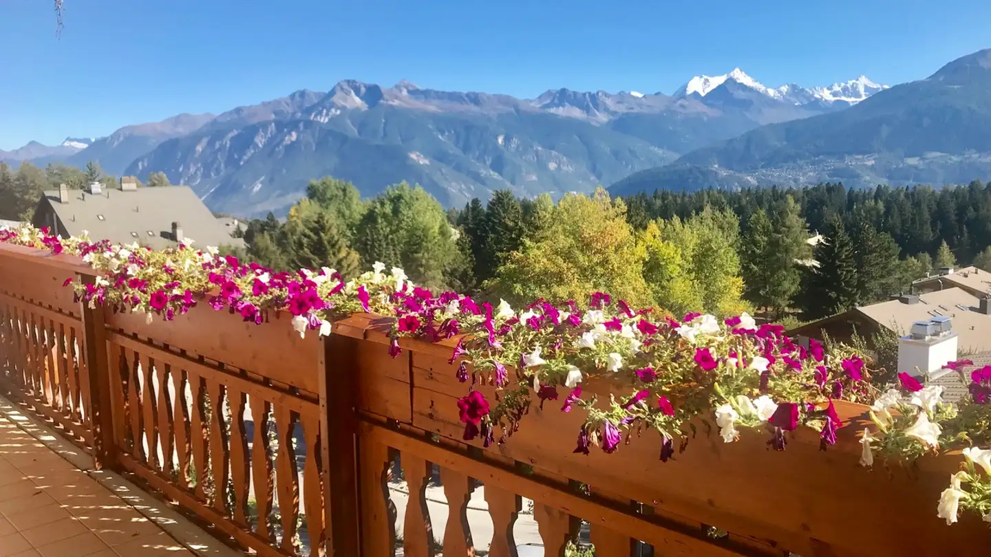 Appartement à vendre - Route De Crans-Montana, 3963 Montana