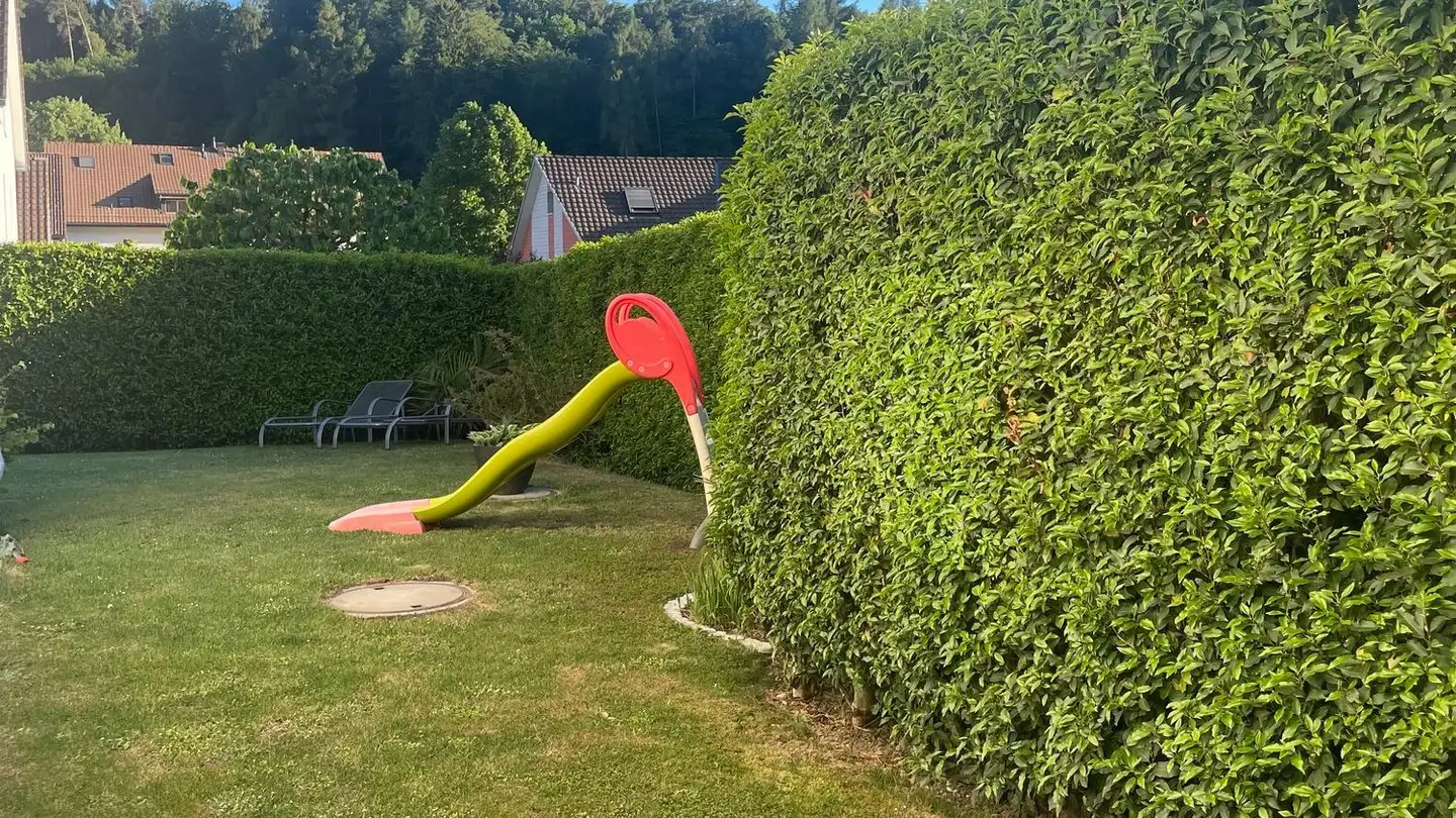Single house for rent - Ifangstrasse 5, 8113 Boppelsen - Photo 4