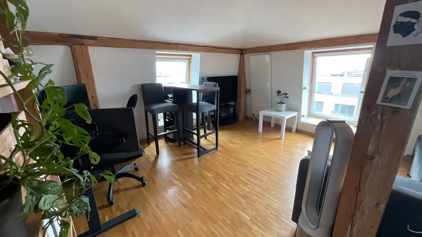 Appartamento in affitto - Avenue De Morges 119, 1004 Lausanne