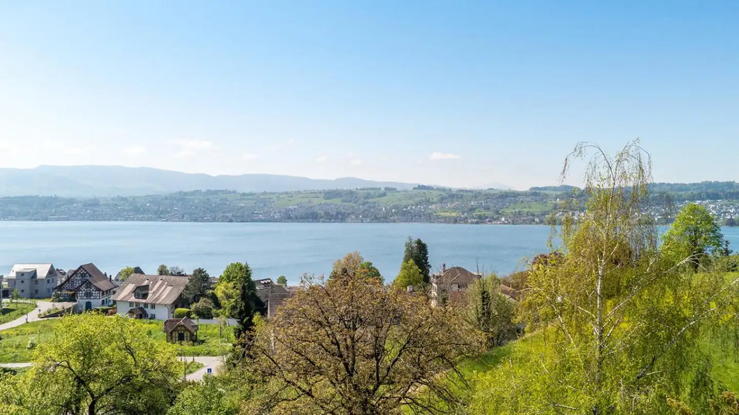 Single house for sale - 8707 Uetikon am See