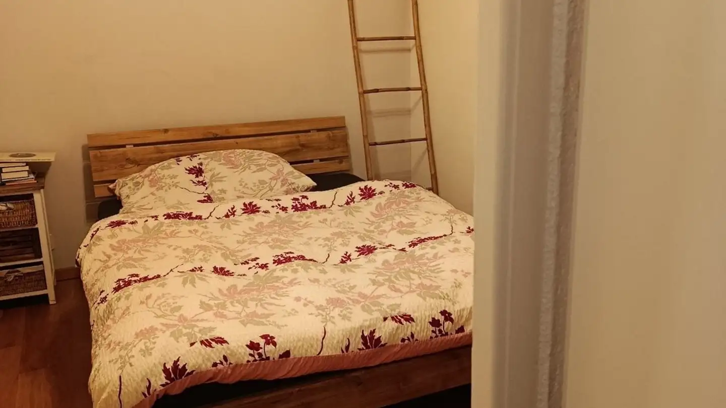 Appartamento in affitto - Rue De Plandodin, 1965 Savièse