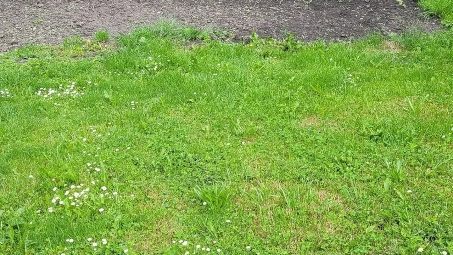 Apartment for rent - 3993 Grengiols - Photo 3