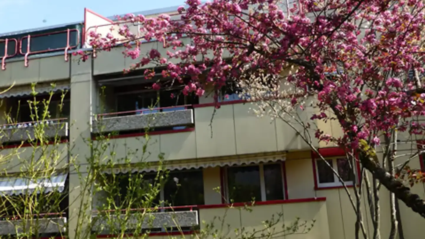Appartamento in affitto - Neuwillerstrasse 15, 4153 Reinach BL