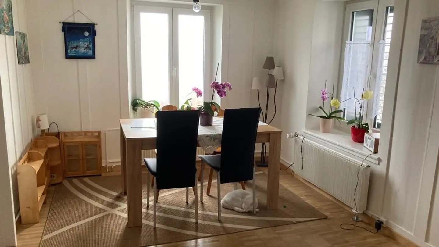 Appartamento in affitto - 4524 Günsberg - Foto 2