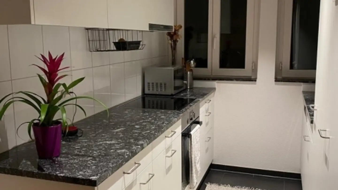 Apartment for rent - Grubenstrasse 4, 8045 Zürich - Photo 2