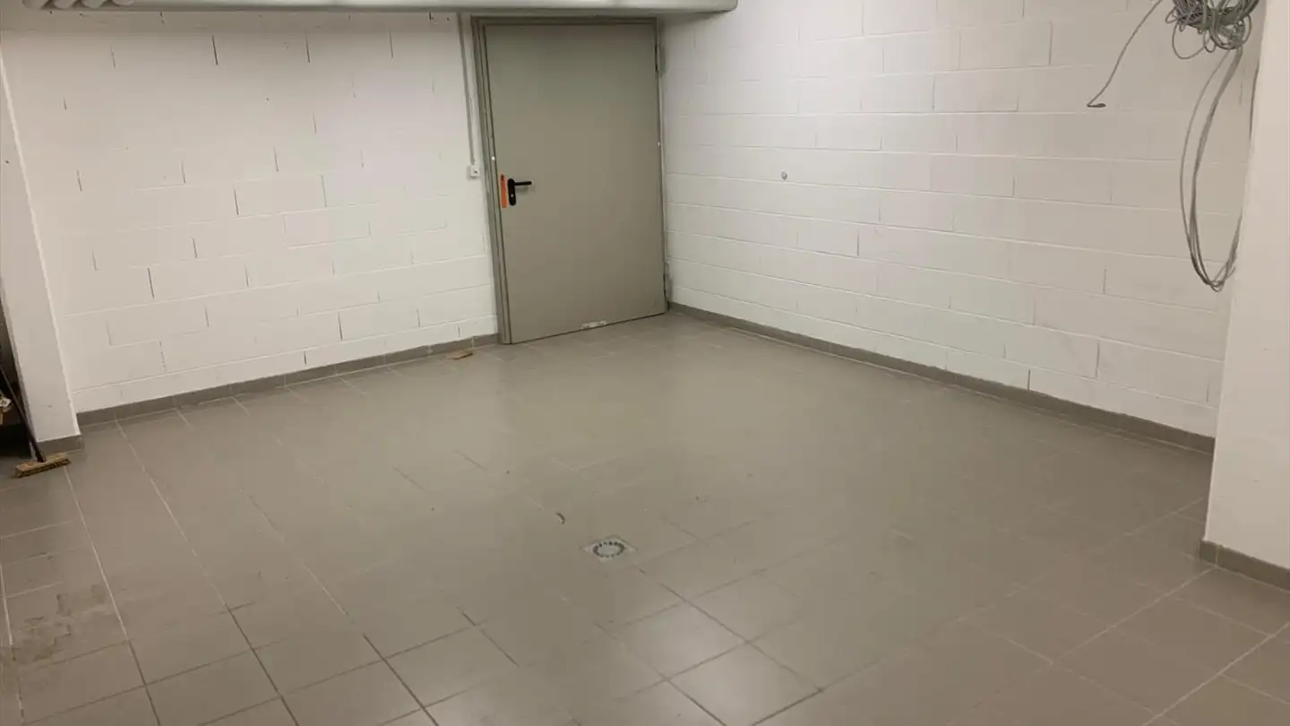 Commercial for rent - Route Du Boiron 13, 1260 Nyon