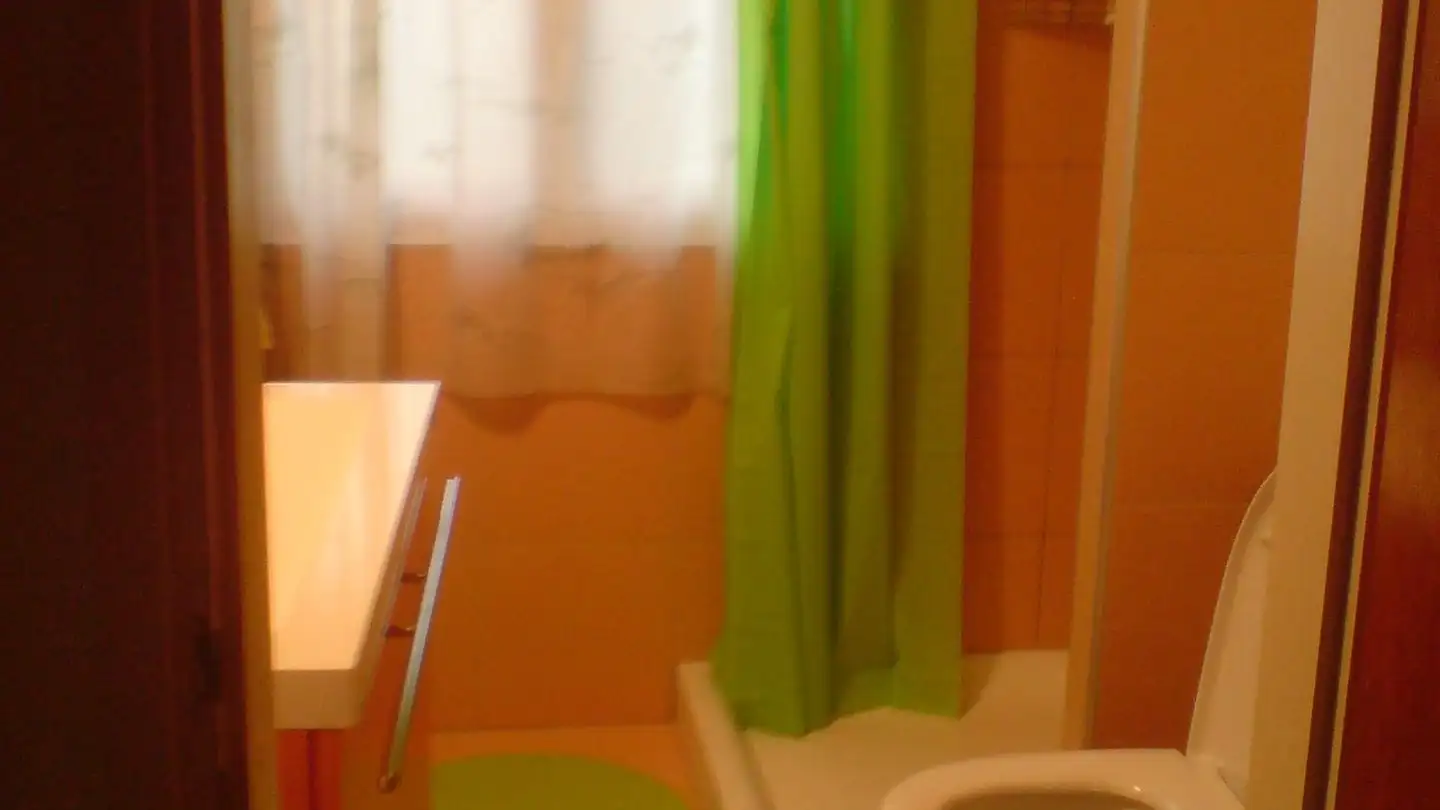 Apartment for rent - Via Castellaccio 37, 6983 Magliaso - Photo 2