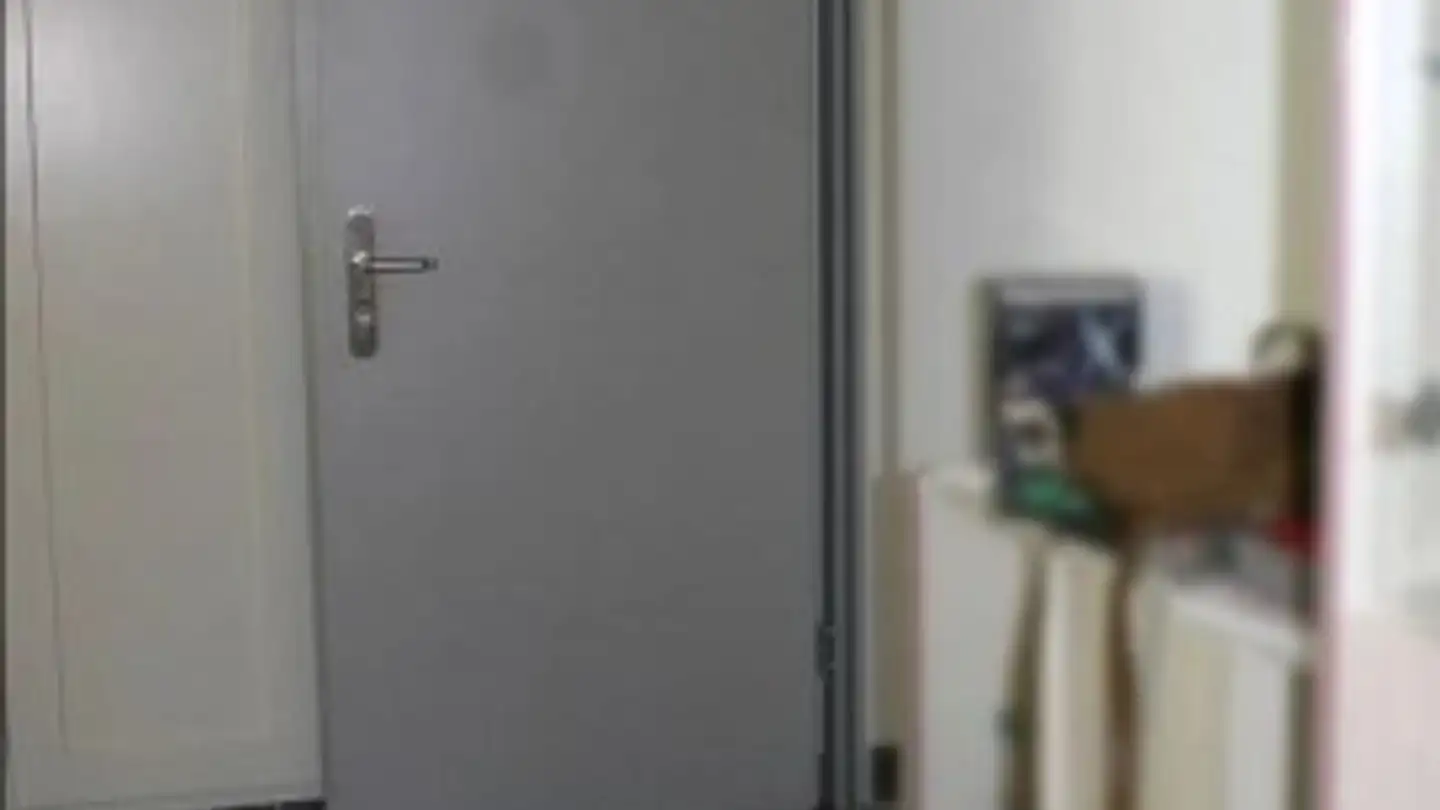 Wohnung mieten - Luegislandstrasse 366, 8051 Zürich - Foto 4