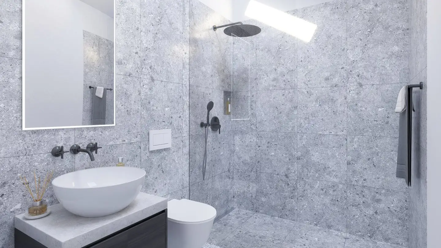 Attique à vendre - Muesmattweg 5, 4123 Allschwil - Photo 3